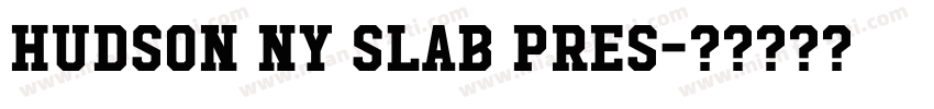 Hudson NY Slab Pres字体转换